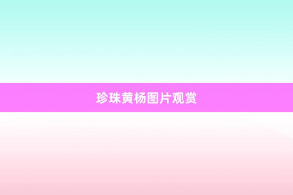 珍珠黄杨图片观赏