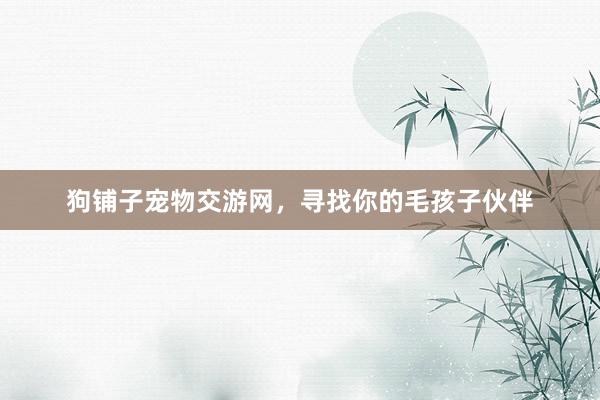 狗铺子宠物交游网，寻找你的毛孩子伙伴