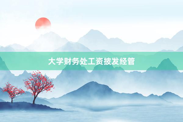 大学财务处工资披发经管